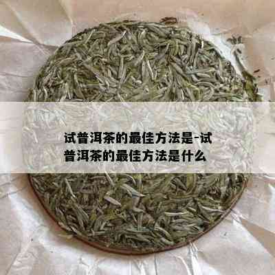 试普洱茶的更佳方法是-试普洱茶的更佳方法是什么