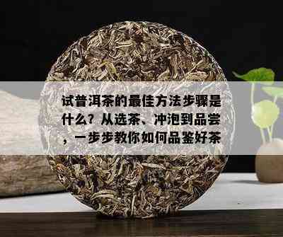 试普洱茶的更佳方法步骤是什么？从选茶、冲泡到品尝，一步步教你如何品鉴好茶。