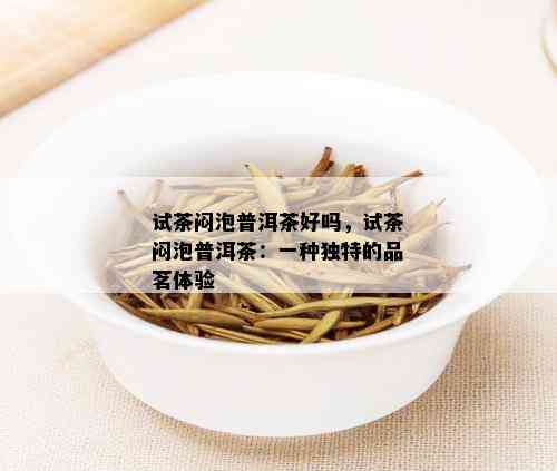 试茶闷泡普洱茶好吗，试茶闷泡普洱茶：一种独特的品茗体验