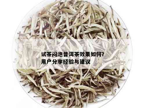 试茶闷泡普洱茶效果如何？用户分享经验与建议