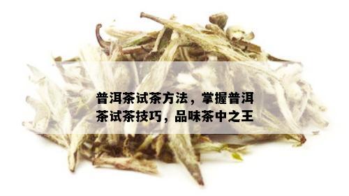 普洱茶试茶方法，掌握普洱茶试茶技巧，品味茶中之王