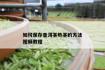 如何保存普洱茶熟茶的方法视频教程