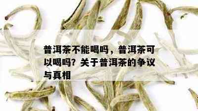 普洱茶不能喝吗，普洱茶可以喝吗？关于普洱茶的争议与真相