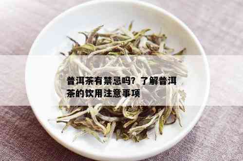 普洱茶有禁忌吗？了解普洱茶的饮用注意事项