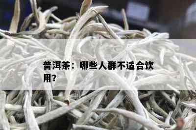 普洱茶：哪些人群不适合饮用？