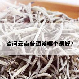 请问云南普洱茶哪个更好？