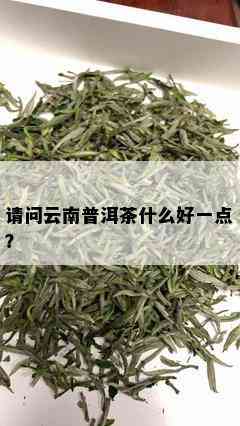 请问云南普洱茶什么好一点？