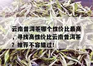 云南普洱茶哪个性价比更高，寻找高性价比云南普洱茶？推荐不容错过！