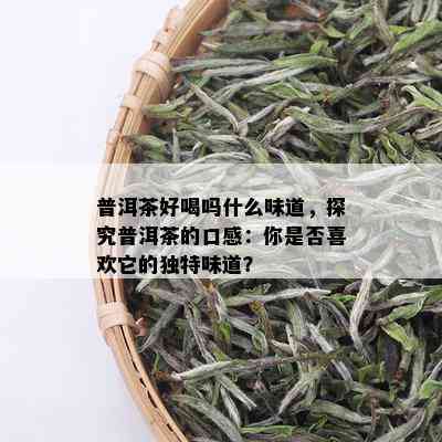 普洱茶好喝吗什么味道，探究普洱茶的口感：你是否喜欢它的独特味道？