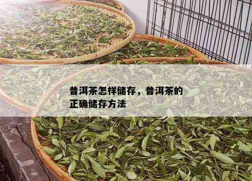 普洱茶怎样储存，普洱茶的正确储存方法