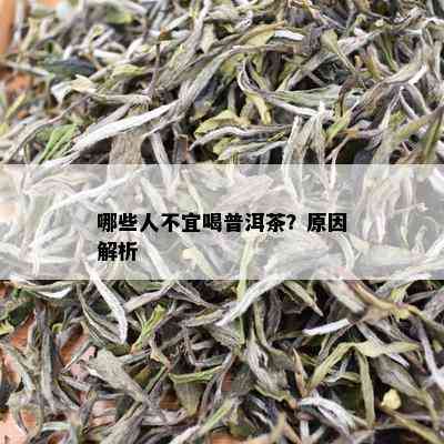 哪些人不宜喝普洱茶？原因解析