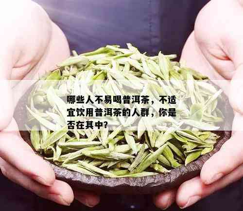 哪些人不易喝普洱茶，不适宜饮用普洱茶的人群，你是否在其中？