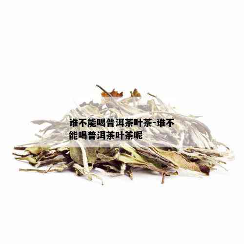 谁不能喝普洱茶叶茶-谁不能喝普洱茶叶茶呢