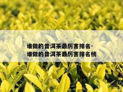 谁做的普洱茶最厉害排名-谁做的普洱茶最厉害排名榜