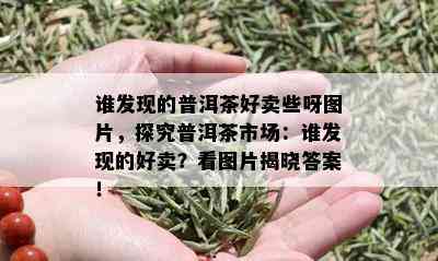 谁发现的普洱茶好卖些呀图片，探究普洱茶市场：谁发现的好卖？看图片揭晓答案！