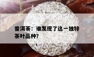 普洱茶：谁发现了这一独特茶叶品种？