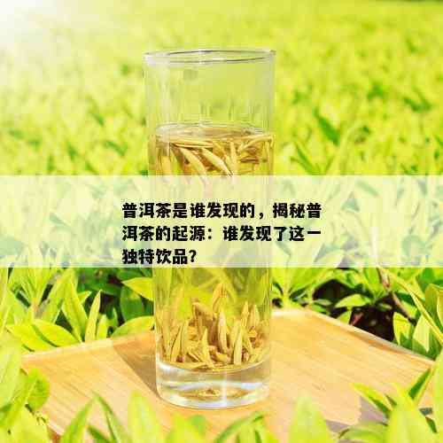 普洱茶是谁发现的，揭秘普洱茶的起源：谁发现了这一独特饮品？