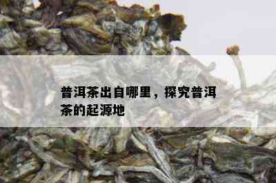 普洱茶出自哪里，探究普洱茶的起源地