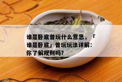 谁是卧底普玩什么意思，「谁是卧底」普玩玩法详解：你了解规则吗？