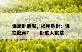 谁是卧底呢，揭秘身份：谁在隐藏？——卧底大挑战