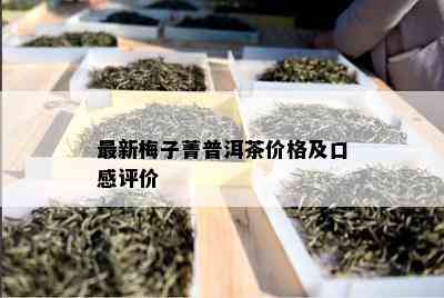 最新梅子菁普洱茶价格及口感评价