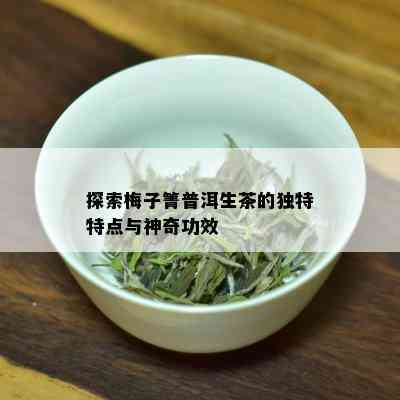 探索梅子箐普洱生茶的独特特点与神奇功效