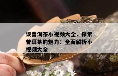 谈普洱茶小视频大全，探索普洱茶的魅力：全面解析小视频大全