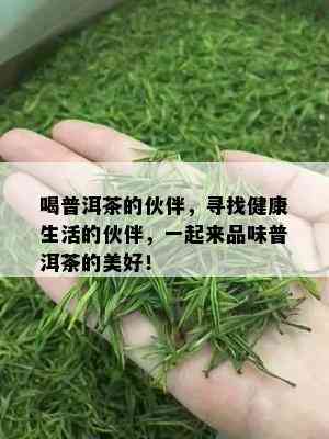 喝普洱茶的伙伴，寻找健康生活的伙伴，一起来品味普洱茶的美好！