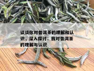 谈谈你对普洱茶的理解和认识，深入探讨：我对普洱茶的理解与认识