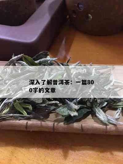 深入了解普洱茶：一篇800字的文章