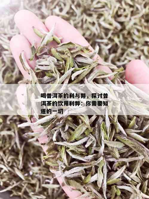 喝普洱茶的利与弊，探讨普洱茶的饮用利弊：你需要知道的一切