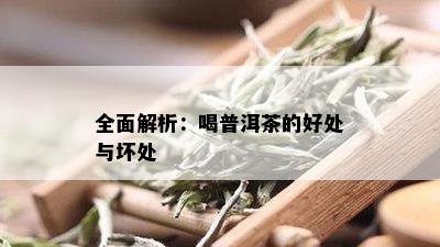 全面解析：喝普洱茶的好处与坏处