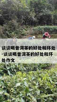 谈谈喝普洱茶的好处和坏处-谈谈喝普洱茶的好处和坏处作文