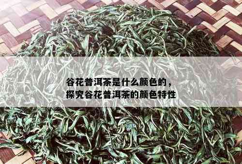 谷花普洱茶是什么颜色的，探究谷花普洱茶的颜色特性