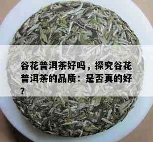 谷花普洱茶好吗，探究谷花普洱茶的品质：是否真的好？