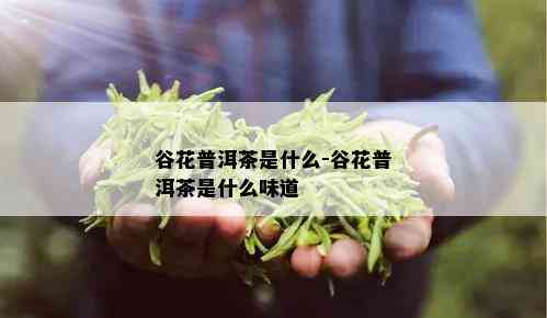 谷花普洱茶是什么-谷花普洱茶是什么味道