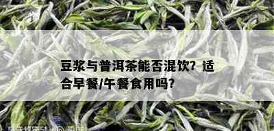 豆浆与普洱茶能否混饮？适合早餐/午餐食用吗？