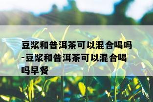 豆浆和普洱茶可以混合喝吗-豆浆和普洱茶可以混合喝吗早餐