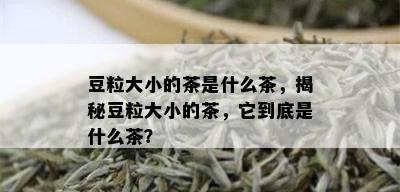 豆粒大小的茶是什么茶，揭秘豆粒大小的茶，它到底是什么茶？