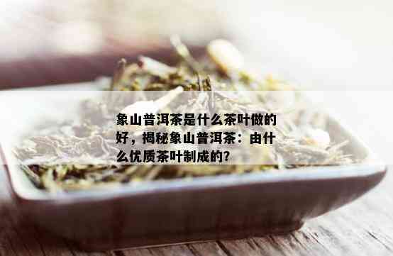 象山普洱茶是什么茶叶做的好，揭秘象山普洱茶：由什么优质茶叶制成的？