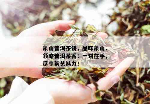 象山普洱茶饼，品味象山，领略普洱茶香：一饼在手，尽享茶艺魅力！