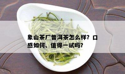 象山茶厂普洱茶怎么样？口感如何、值得一试吗？