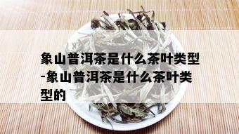 象山普洱茶是什么茶叶类型-象山普洱茶是什么茶叶类型的