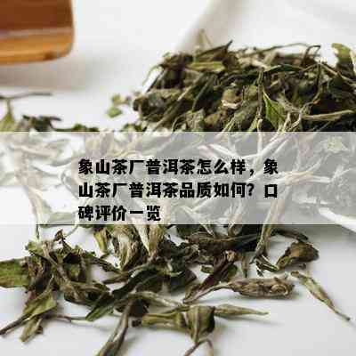 象山茶厂普洱茶怎么样，象山茶厂普洱茶品质如何？口碑评价一览