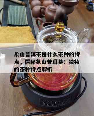 象山普洱茶是什么茶种的特点，探秘象山普洱茶：独特的茶种特点解析