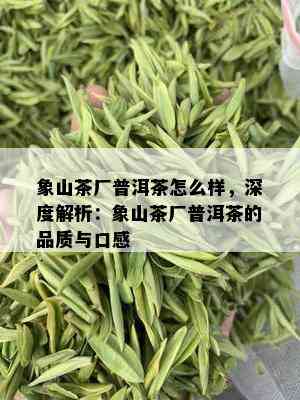 象山茶厂普洱茶怎么样，深度解析：象山茶厂普洱茶的品质与口感