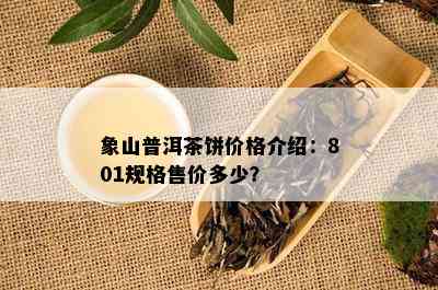 象山普洱茶饼价格介绍：801规格售价多少？