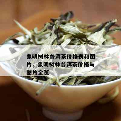 象明树林普洱茶价格表和图片，象明树林普洱茶价格与图片全览