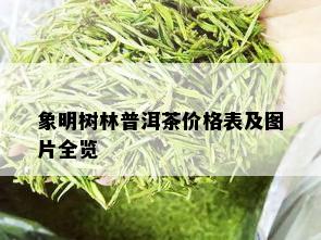 象明树林普洱茶价格表及图片全览