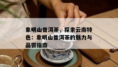 象明山普洱茶，探索云南特色：象明山普洱茶的魅力与品尝指南